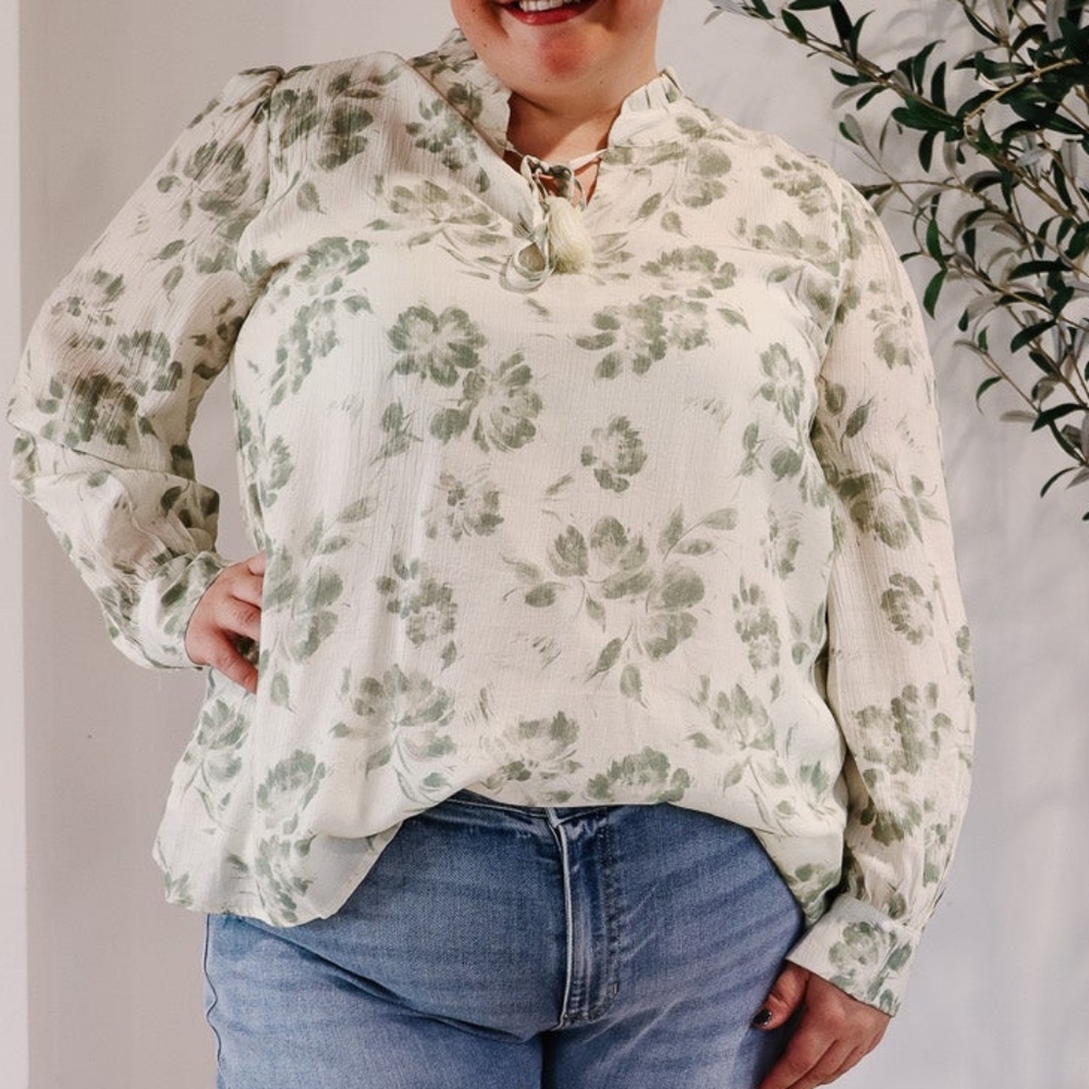 NWT Polagram Light Green Cream Vintage Floral Long Sleeve Blouse, Sz 1XL & 3XL